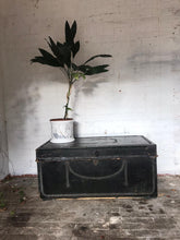 Load image into Gallery viewer, 1820s Leather Bound Trunk