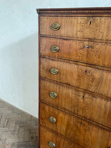 19th Century Dutch Walnut Tallboy Chest of Drawers