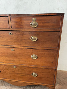 A George IV Mahogany Chest of Drawers