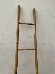 Bamboo Ladder