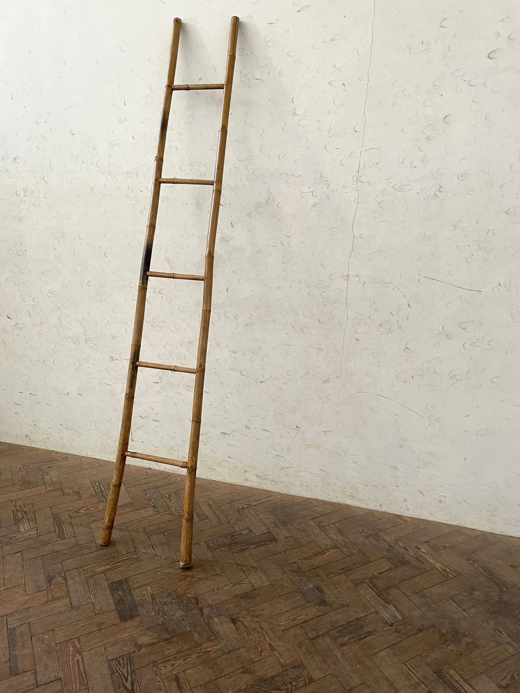 Bamboo Ladder
