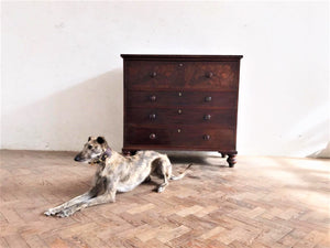 George III Mahogany Chest of Drawers